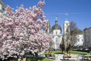 Frühling in der Altstadt
