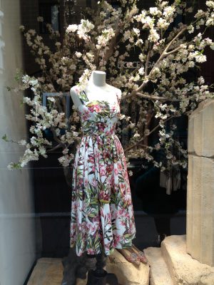 Frühling auch in den Auslagen, Foto: Anna Piller-Wolf