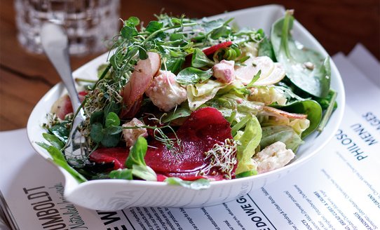 Knackiger Salat mit roter Rübe, Apfel - wahlweise Zander oder Rinderfiletstreifen | © Humboldt Stubn