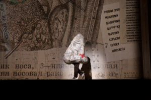 Salzburger Kunstsommer 2017