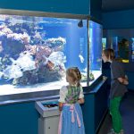 Haus der Natur/Kressl