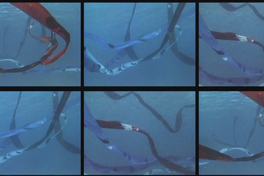 © Molly Davies / Jackie Matisse / David Tudor, Sea Tails, 1983. 6-Kanal-Videoinstallation. Courtesy of the artists