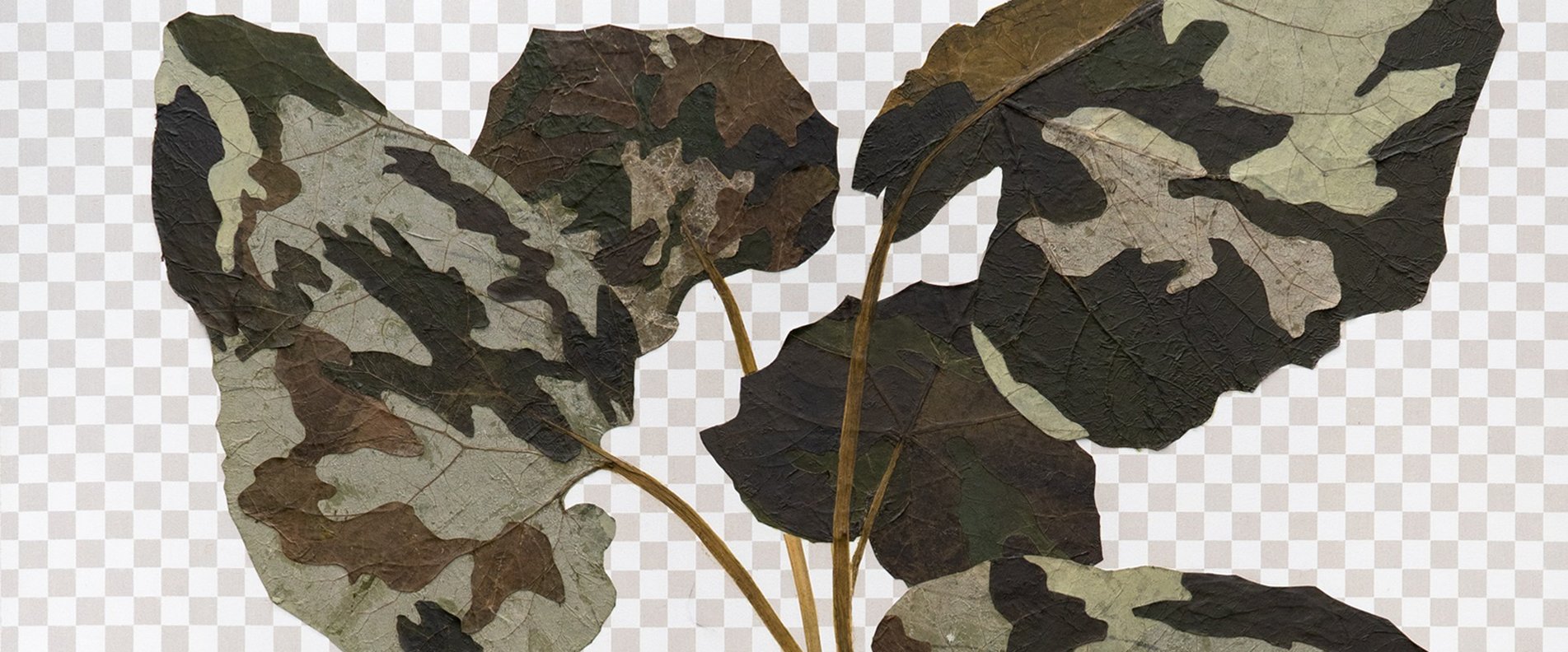 David Eisl, Camouplant, getrocknete Pflanzen, Acryl auf Mdf, 150x100cm, 2020 | © David Eisl